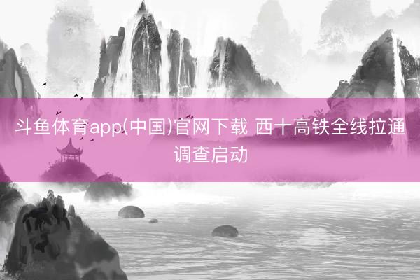 斗鱼体育app(中国)官网下载 西十高铁全线拉通调查启动