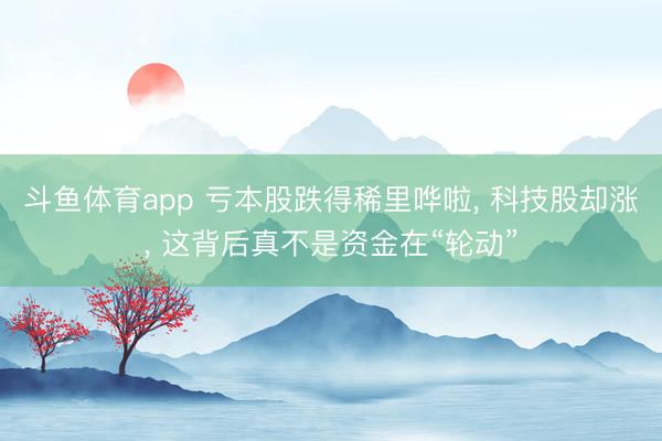斗鱼体育app 亏本股跌得稀里哗啦， 科技股却涨， 这背后真不是资金在“轮动”
