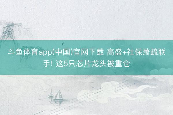 斗鱼体育app(中国)官网下载 高盛+社保萧疏联手! 这5只芯片龙头被重仓