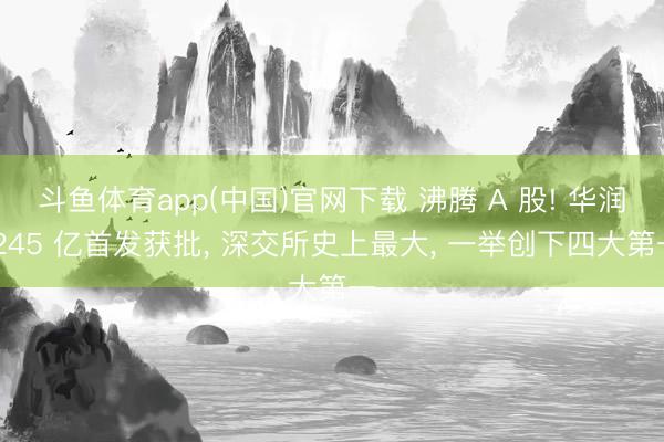 斗鱼体育app(中国)官网下载 沸腾 A 股! 华润 245 亿首发获批， 深交所史上最大， 一举创下四大第一