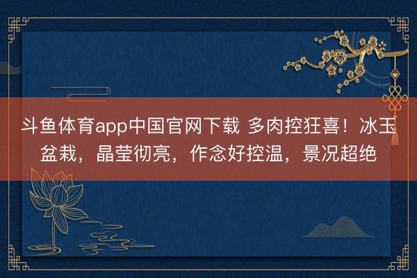 斗鱼体育app中国官网下载 多肉控狂喜！冰玉盆栽，晶莹彻亮，作念好控温，景况超绝