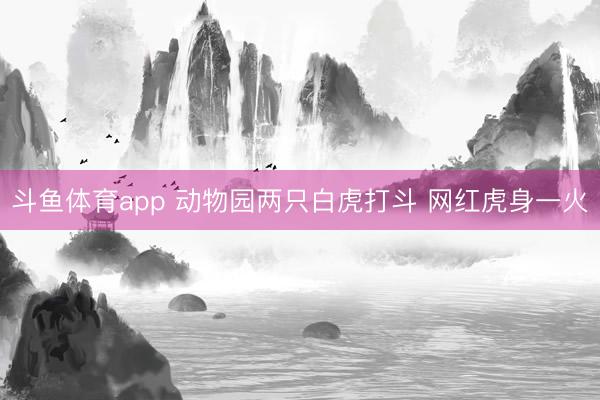 斗鱼体育app 动物园两只白虎打斗 网红虎身一火
